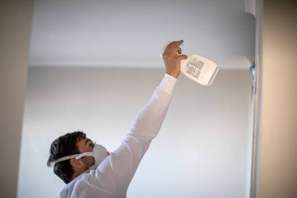 Best Attic Mold Remediation in Belvedere, SC